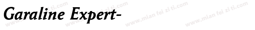 Garaline Expert字体转换